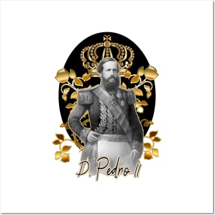 Brazil Empire His Majesty Emperor Pedro II Posters and Art